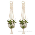 Cotton Plant Holder plant hanger for fence Factory